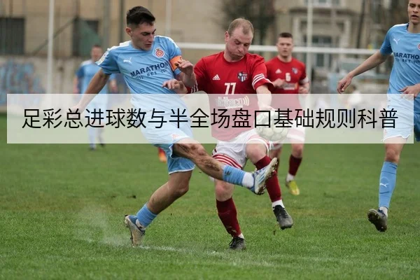 足彩总进球数与半全场盘口基础规则科普